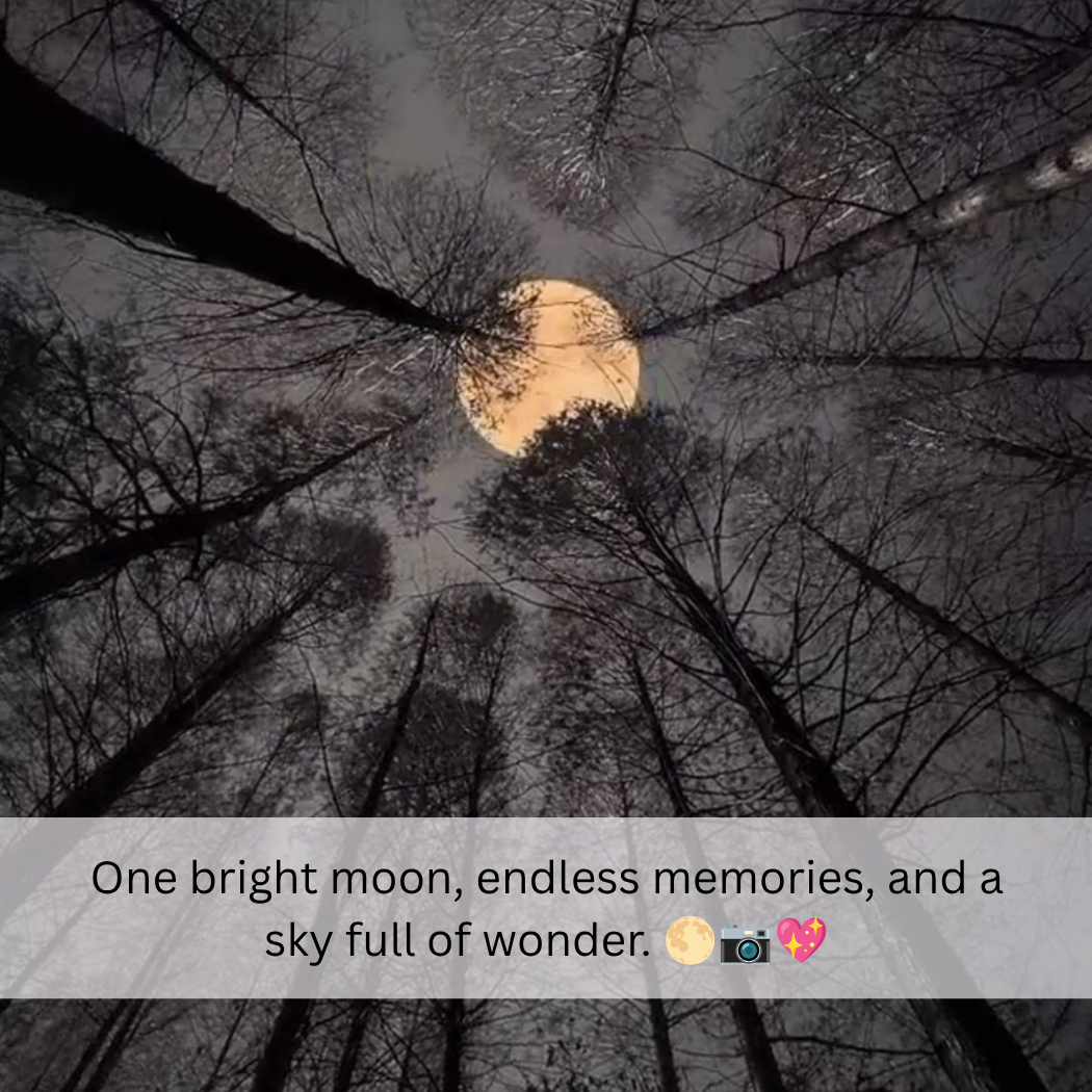 Caption For Moon