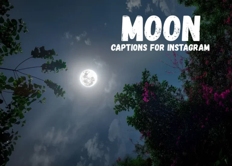 Moon Captions For Instagram: 101+ Best & Beautiful Lines Moon Captions For Instagram: 101+ Best & Beautiful Lines