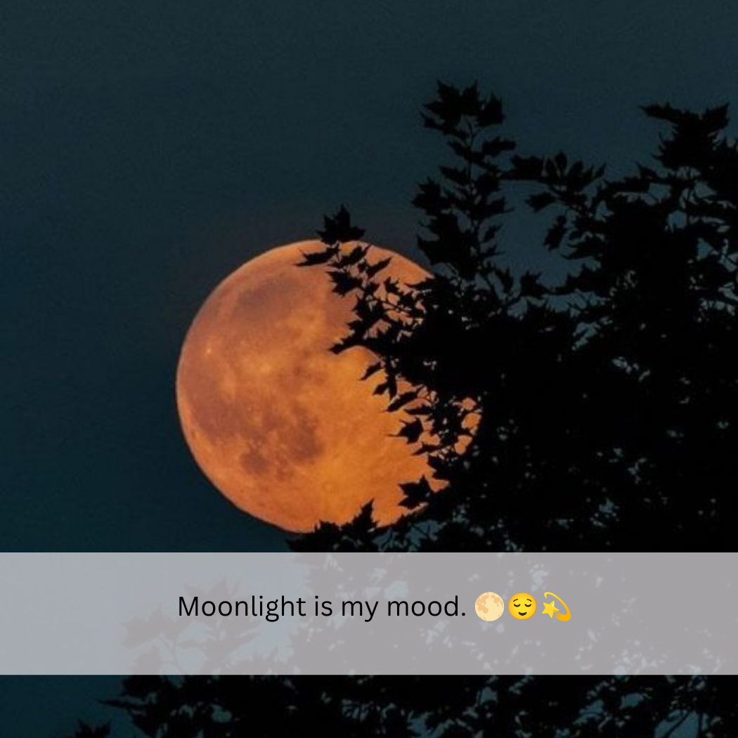 Moon Captions For Instagram One Word