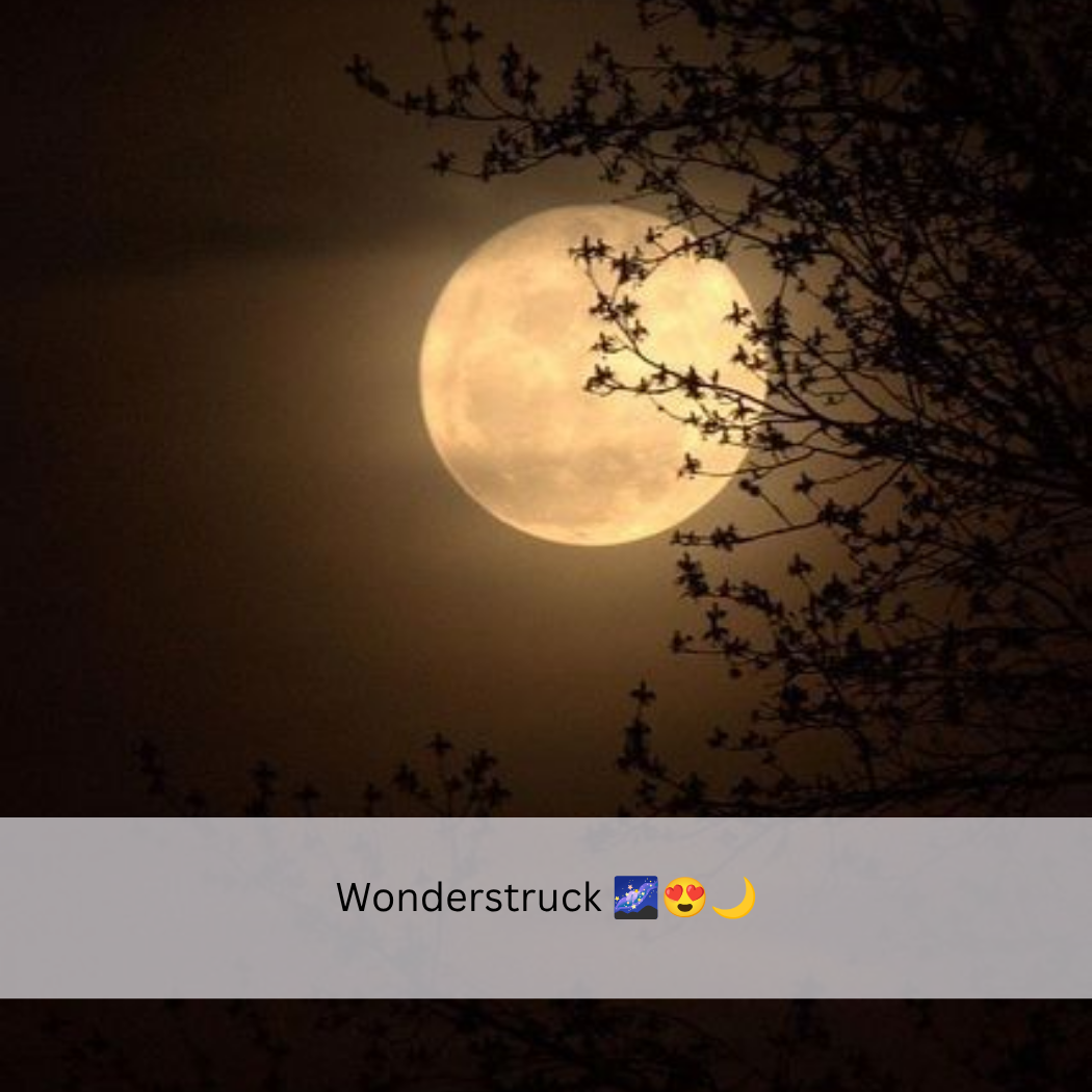 Moon Captions