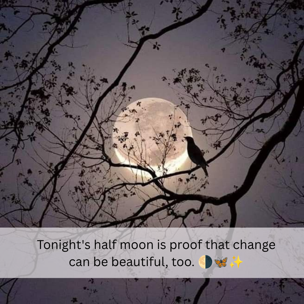 Short Moon Captions